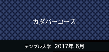 カダバーコース